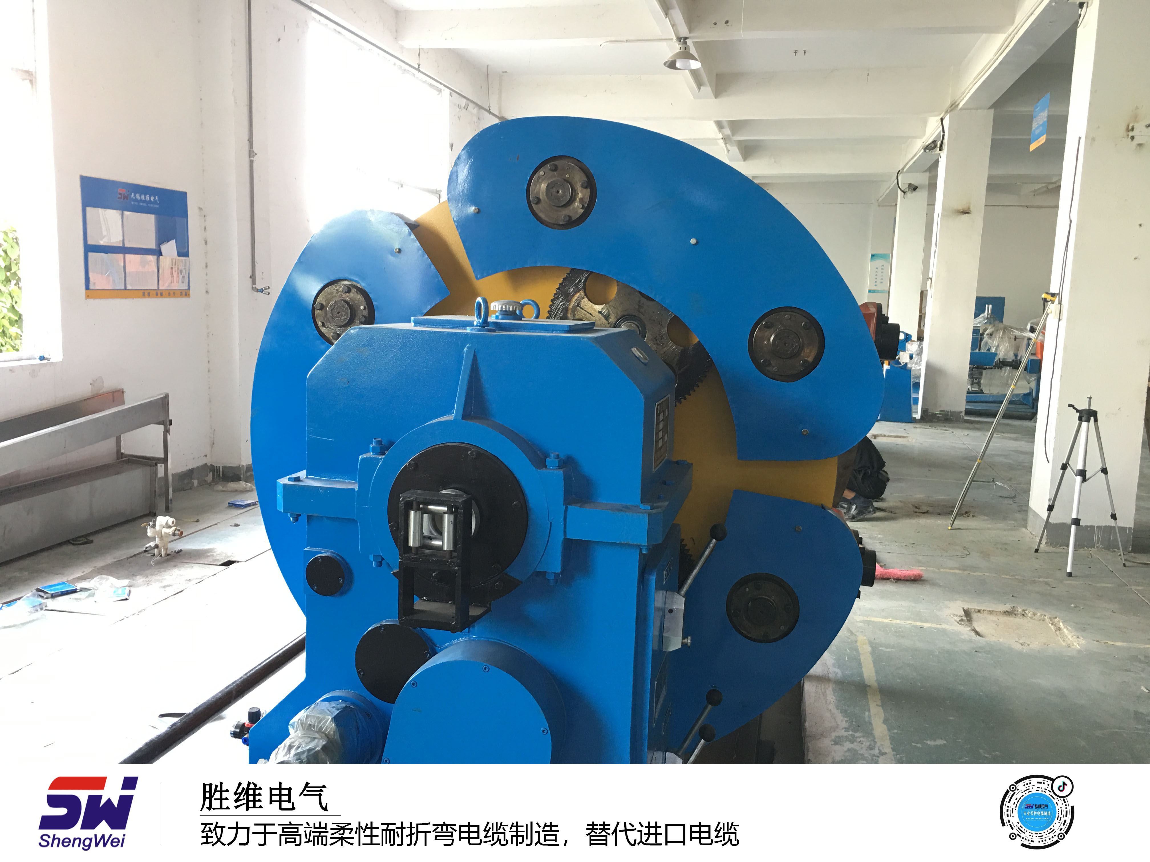 勝維股份 勝維股份