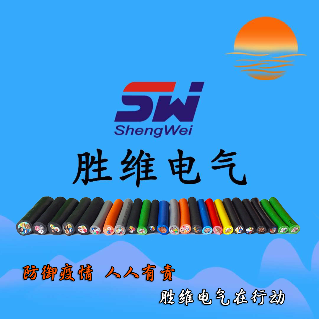 勝維股份 勝維股份