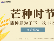 勝維股份 | 芒種，種下夢(mèng)想 靜待光芒